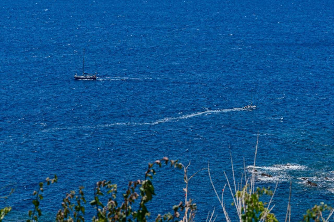 Reis Magos II By An Island Apart Caniço Dış mekan fotoğraf